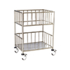 Stainless Steel Double-Layer Delivery Cart With Railing