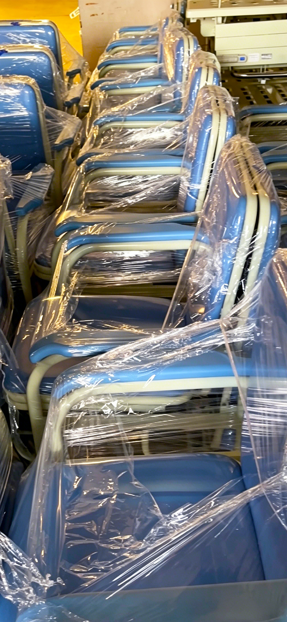 Physical companion chair