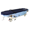 Blue Transfer Bed