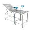 Gynecological Examination Dual-Use Bed